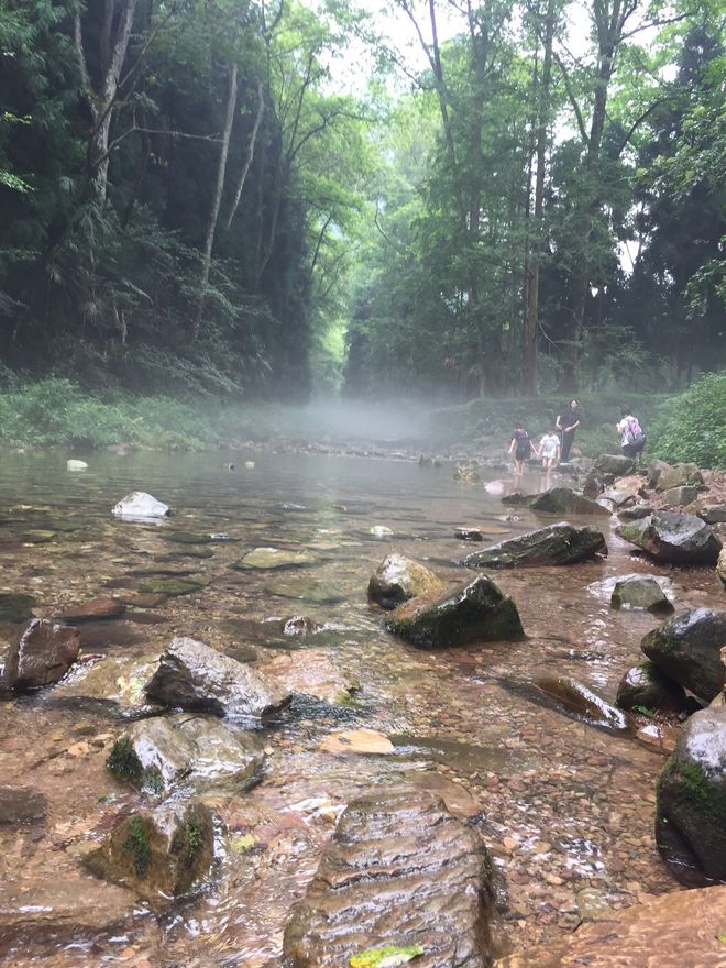 张家界亲子小包团推荐：带娃游张家界旅划算折叠婴儿车方便赏景(图2)