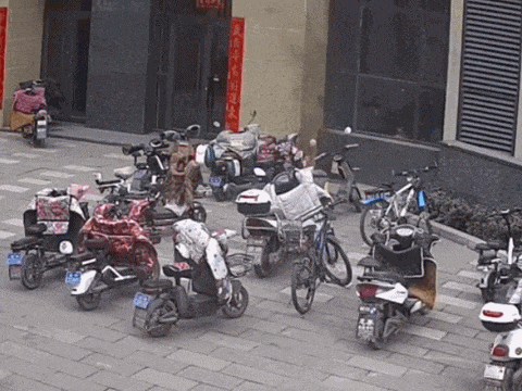 有人丧命!这个隐患快自查→(图7)