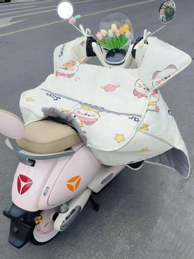 电动车挡风被到底是温暖陷阱还是过冬神器？(图2)