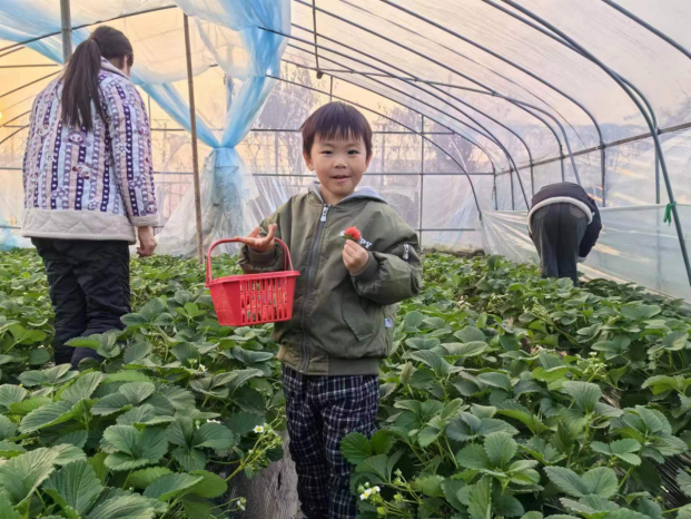 元旦不远游打卡家门口好去处(图2)