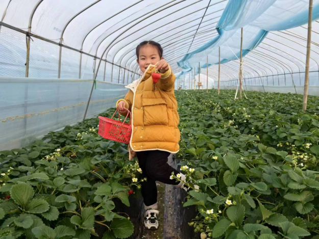 元旦不远游打卡家门口好去处(图3)