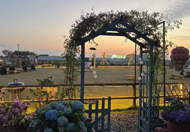 泰州姜堰:“村咖”带你走进阡陌间的“诗和远方”(图3)