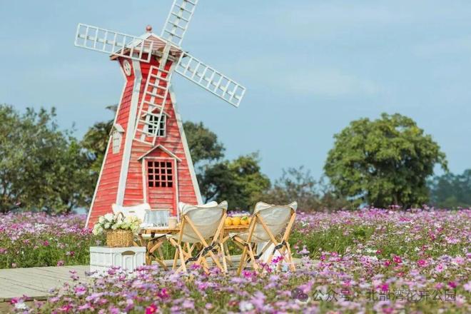 花漾女神节趣享好时光(图2)
