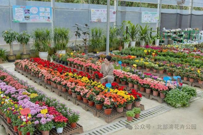 花漾女神节趣享好时光(图5)