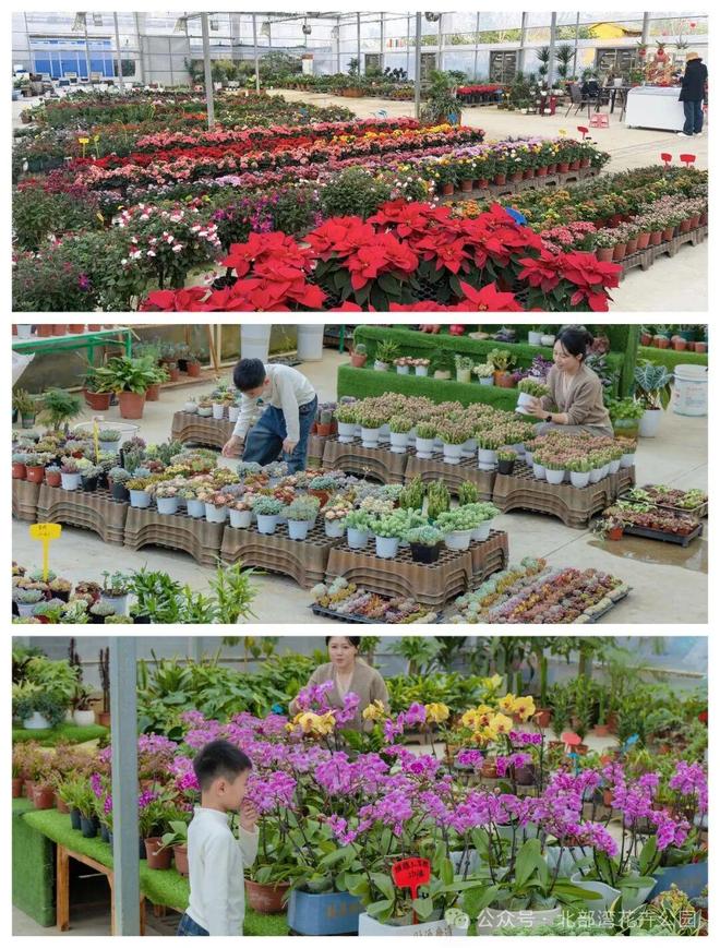 花漾女神节趣享好时光(图6)