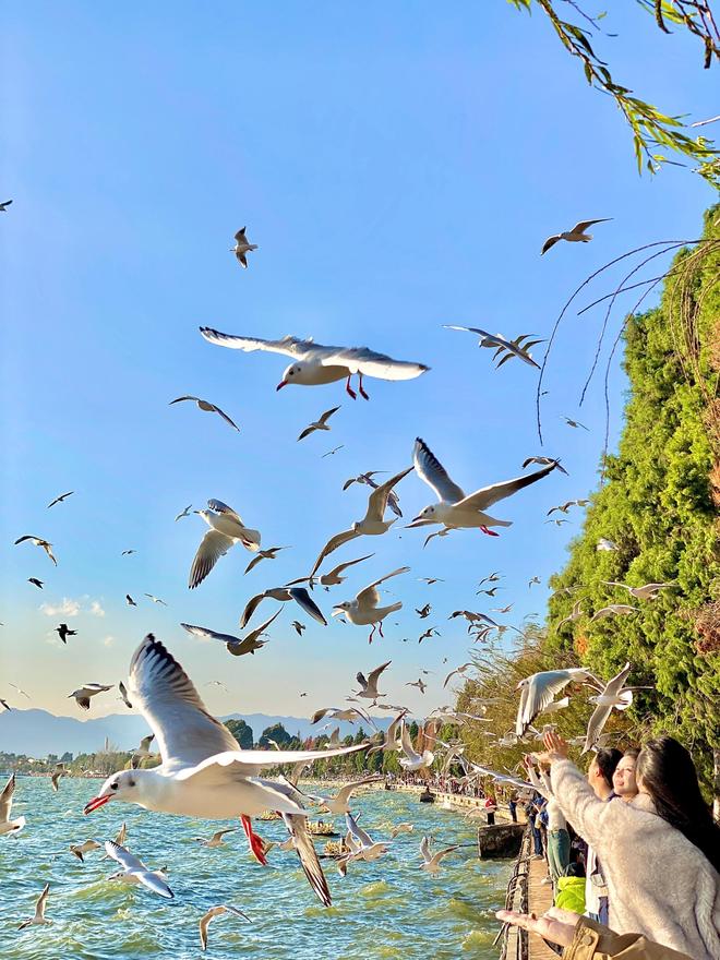 两个人过年去云南旅游要花多钱?云南5日游最佳路线攻略+游玩费用(图1)